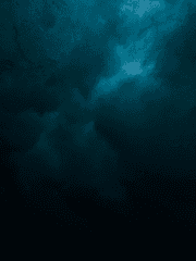 드래곤 길들이기 팬창착