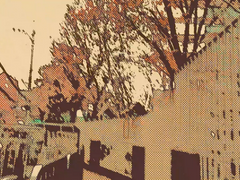 브베의 일상 모음 (점점 더 잘하자)