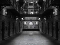 [무기미도] 국장만 오메가 01