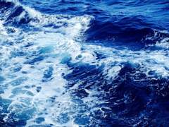 파랗게 물들 때까지