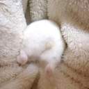 외롭고 웃긴가게