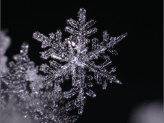 [ 트위스테 드림 ] 아리엘의 일기장