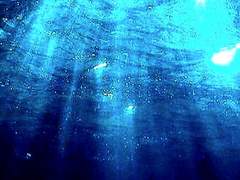 루스 S. 노럼 | XY | 26 | 물