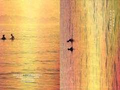 네 몫의 연시를 부서지는 별에 두었다