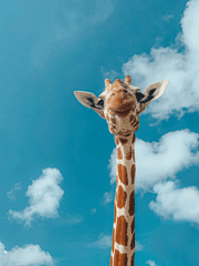 성인용품점을 운영하며