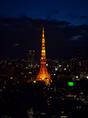 드라마/영화/애니