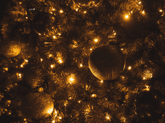 [도리벤 드림] 무슨 사이 3