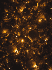 [도리벤 드림] 무슨 사이