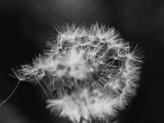 [후기] 마도대전-격동의 서: 문레이크