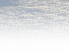 우물 안 가식쟁이