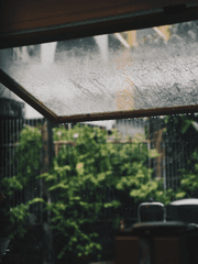 원신 드림 _ 사이키 