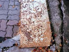 유난히 땅에 떨어진