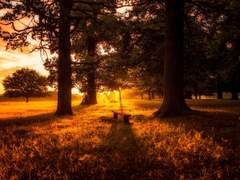 따스한 시선, 뜨거운 마음으로