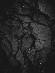 나의 정신병 이야기