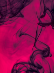 홀로 돌아온 이