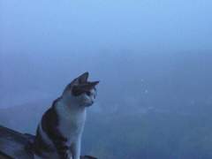 당돌한 연하의 갑작스러운 선물