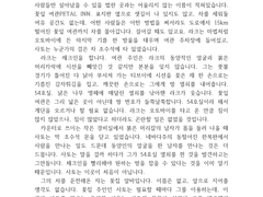 라크사토 적폐썰 커미션