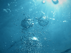 야속하게도, 바다는 너무나도 따뜻했다.