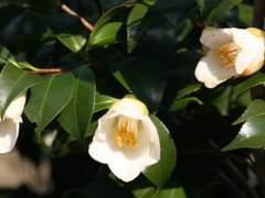 배 연지 ㆍ19ㆍXX