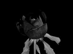 {엑소빙의글/역하렘}그림자_06