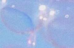 시노커 프로필 [셀리아 프시케 에트리드]