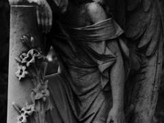 인텔리 포식의 미학