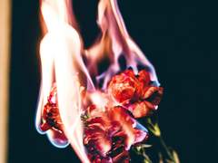 내가 살아 있는 것이 당신의 종교가 되길 바랄게.