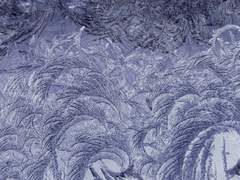 설원을 걸을 땐 눈 밑의 가시를 조심해