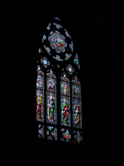 성녀도 사람입니다