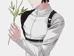 양귀비,메리골드