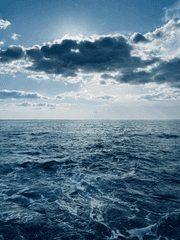 [로라제 타로] 현생타입 샘플