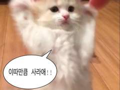 어색하고 좀 어눌하지만