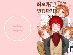 츠카레오 1월 디페스타 위탁회지 샘플