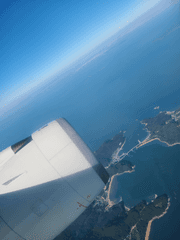 완벽한 신입사원에 대하여