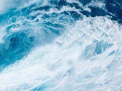 믿음이 생을 망쳐요,