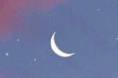 Fereshteh N. Adelheid