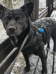 당신이 잊은 12월의 일기