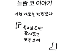 놀란 코 이야기