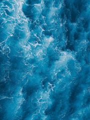 푸른 나비의 꿈