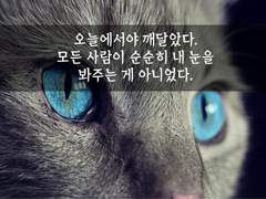 12. 내 눈을 바라봐