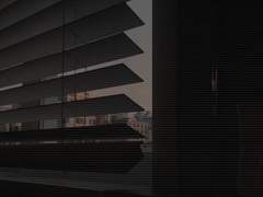 피의 농도: 애정下