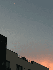 손만 잡는 사이