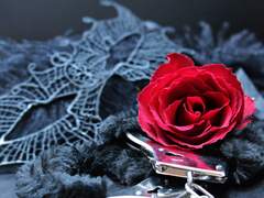 [시리우스] Stockholm syndrome