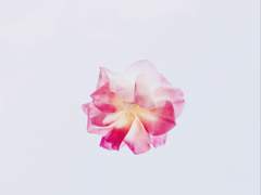 [고죠유지] 환생한 고딩고죠랑 유지가 만나는 어쩌고 썰