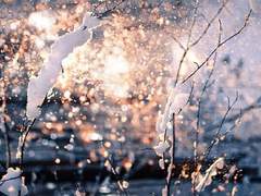 지해여고 프로필