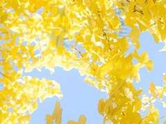 [허유경/3학년/밴드부]