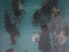 잘못한 것 없이도 사과나무 (沙果)