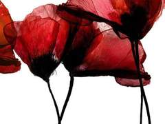 금은 이미 가기 시작하니..