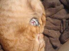 아기가 타고 있어요