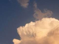 Melina Rose Cartel Xx Gryffindor P.B